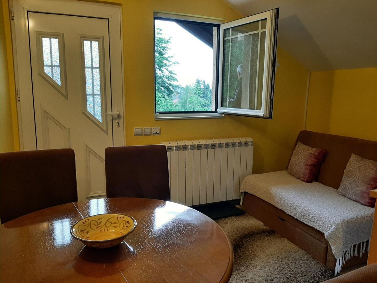 Apartments Junior زلاتيبور المظهر الخارجي الصورة